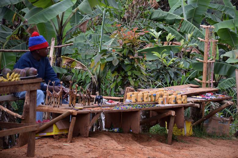 Kilimandžaro, put kroz džunglu do Materuni vodopada